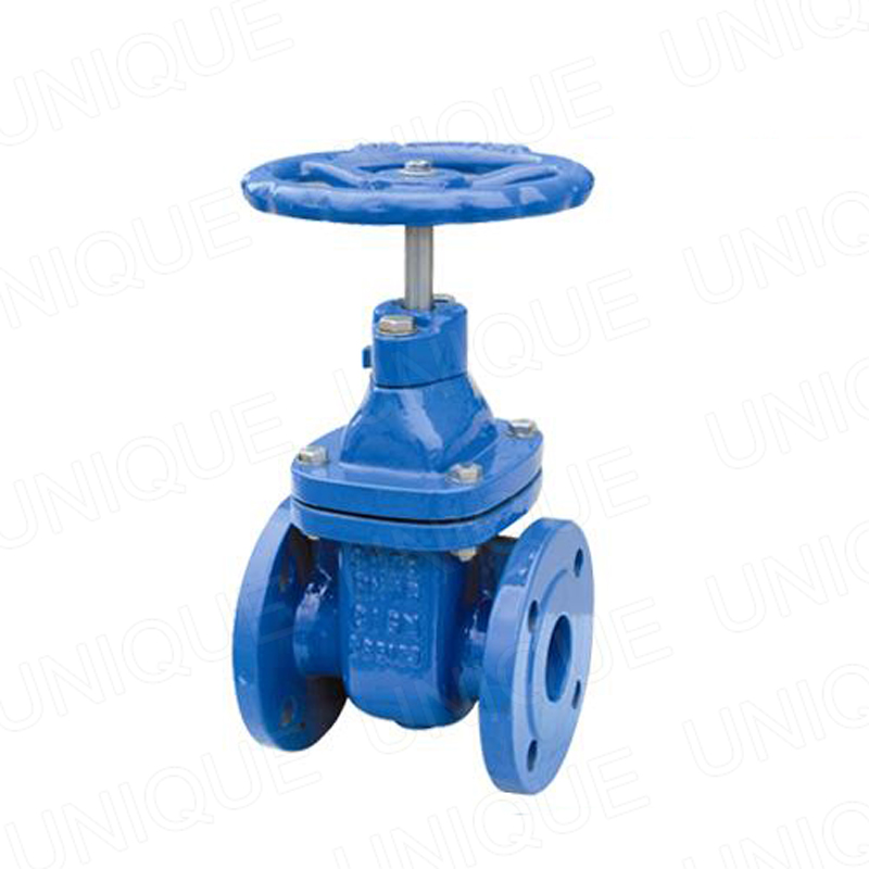 China High Quality Valve Cast Iron Factory –  Bs 5163 Gate Valve,CI,DI,Cast Iron,Ductile Iron,PN6,PN10,PN16,PN25,CF8,CF3,CF8M,CF3M,LCB,LCC,LC1, – UNIQUE detail pictures