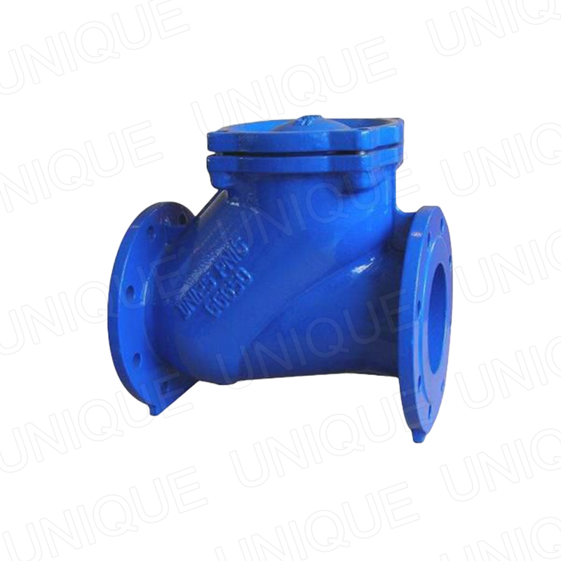 OEM Best Dual Plate Check Valve Products –  DI Ductile Iron PN16 PN25 Ball Check Valve – UNIQUE Featured Image