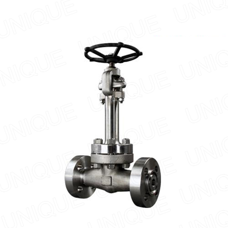 China High Quality Gate And Globe Valve –  Extended Bonnet Cryogenic Globe Valve,CS,SS,WCB,CF8,CF3,CF8M,CF3M,4A,5A,Monel,150LB,300LB,600LB,900LB,1500LB,2500LB – UNIQUE detail pictures