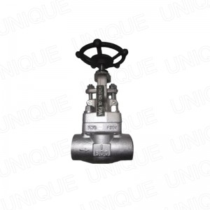 Forged Stainless Steel Gate valve,A105N,304,316,F51,F53,F55,LF2,F91,Monel,C95800,B62,CS,SS