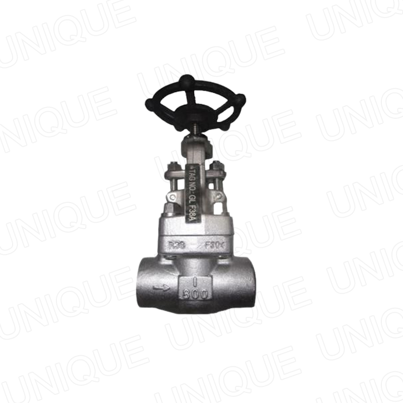 Forged Stainless Steel Gate valve