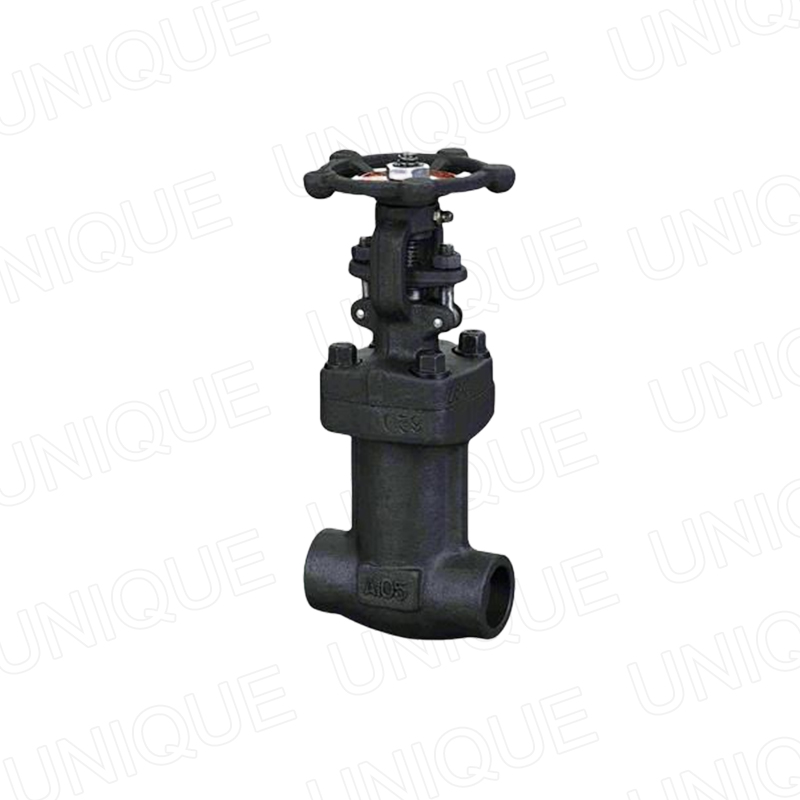 Forged-Steel-Bellows-Seal-Globe-Valve