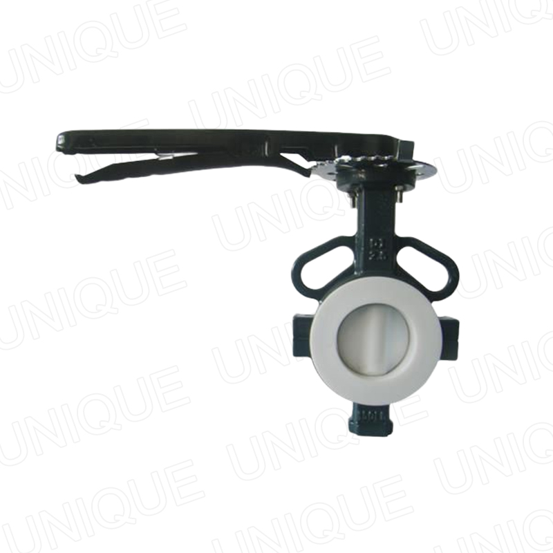 OEM Best Ss Butterfly Valve Manufacturers –  Fully PTFE Butterfly Valve,CI,DI,Cast Iron,Ductile Iron,GG25,GGG40,DN2000,DN1800,DN1600,DN1400,DN1200,DN1000 – UNIQUE detail pictures