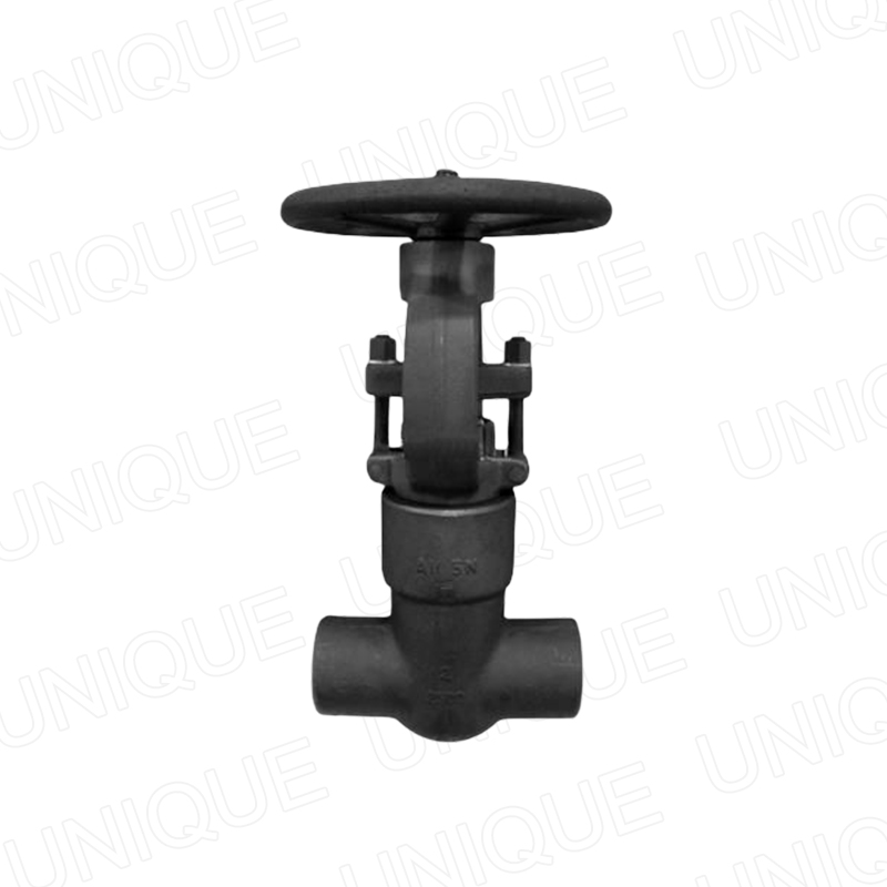 China High Quality 800 Class Valve Products –  Pressure Seal Gate Valves,Carbon steel,Stainless steel,Duplex Steel, Alloy steel,Bronze,A105N,304,316,F51,F55,LF2,F91,Monel,C95800,B62,CS,SS &#...