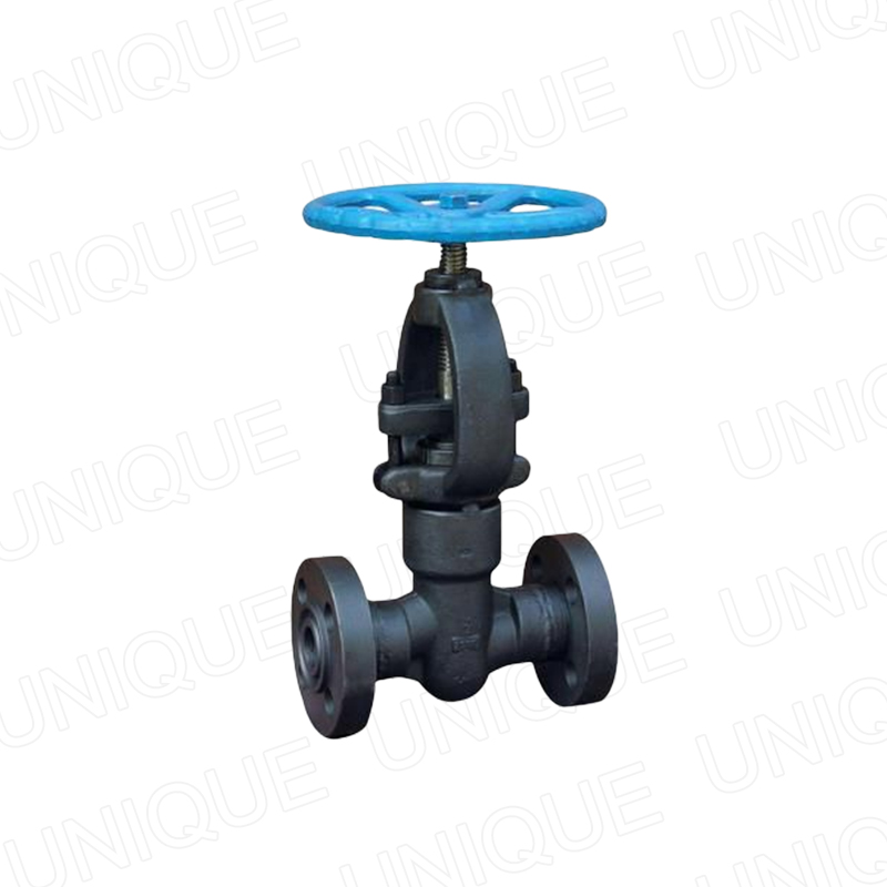 China High Quality Class 800 Check Valve Manufacturers –  Pressure Sealed Globe Valve,Carbon steel,Stainless steel,Duplex Steel, Alloy steel,Bronze,A105N,304,316,F51,F55,LF2,F91,Monel,C95800...