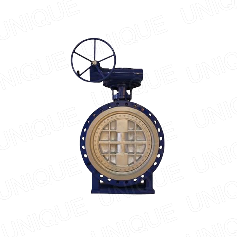 Replaceable Seat Butterfly Valve