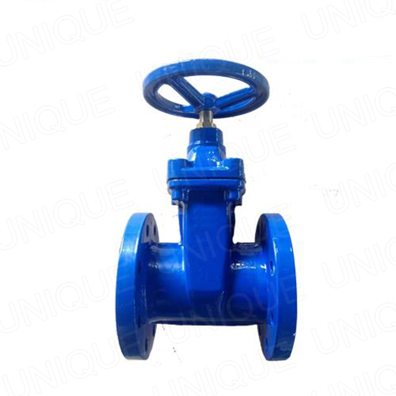China High Quality Cast Iron Air Release Valve Factory –  Resilient Gate Valve Brass Nut Type,CI,DI,Cast Iron,Ductile Iron,PN6,PN10,PN16,PN25,CF8,CF3,CF8M,CF3M,LCB,LCC,LC1, – UNIQUE Featured Image