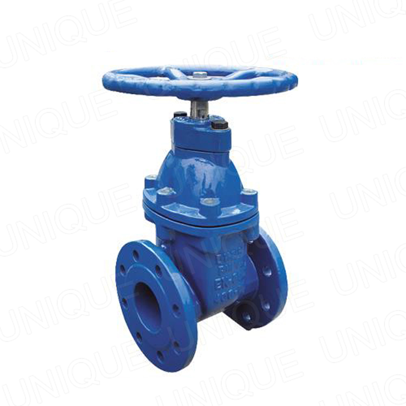 Resilient-Gate-Valve-Gland-Type1