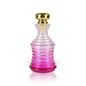 100ml Glass Reed Diffuser Bottle With Plastic Plug