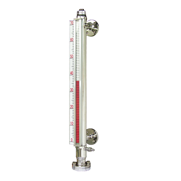Vacorda reminds the general failure of the magnetic flap level gauge