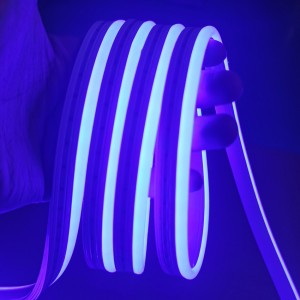 Blue Neon Strip Lights  Flexible Cuttable Connectable Indoor Outdoor Decor