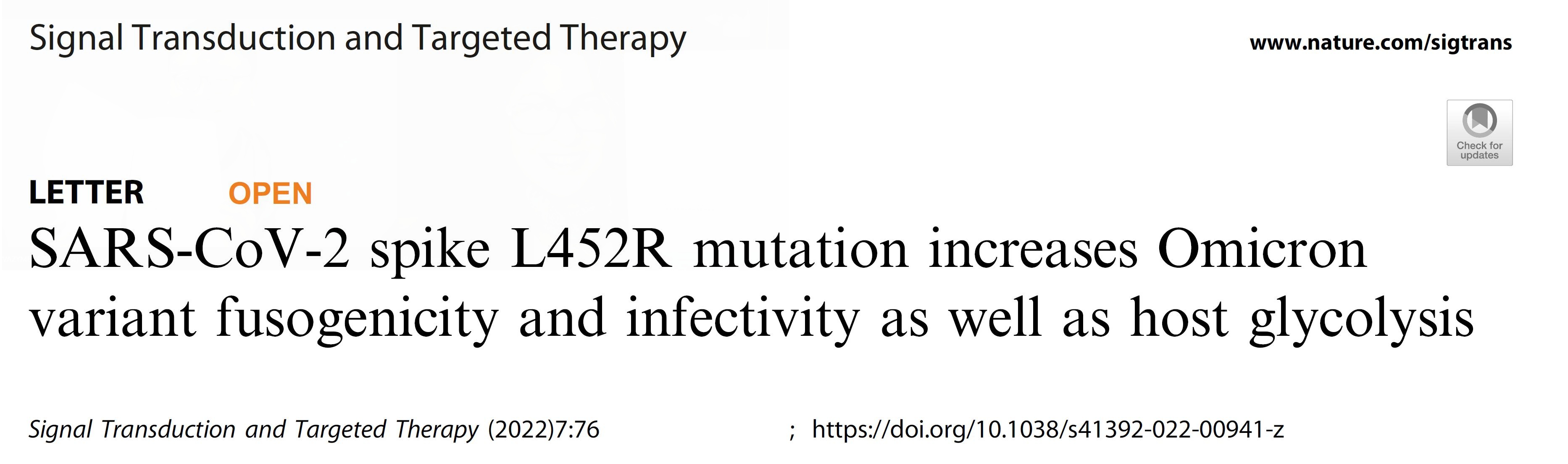 Omicron est porteur de la mutation L452R avec une fusogénicité et une infectivité améliorées