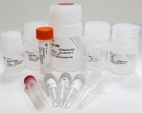 Kit de isolamento de DNA de microbioma FastPure DC502-01