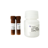 Annexin V-FITC/PI Apoptosis Detection Kit A211