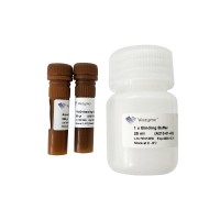 Annexin V-PE/7-AAD Apoptosis Detection Kit