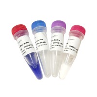 MycoBlue Mycoplasma Detector D101