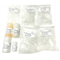 FastPure Gel DNA Extraction Mini Kit DC301
