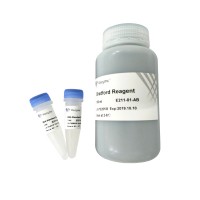 Detergent Compatible Bradford Protein Quantification Kit E211