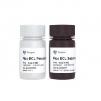 SuperPico ECL Chemiluminescence Kit E422