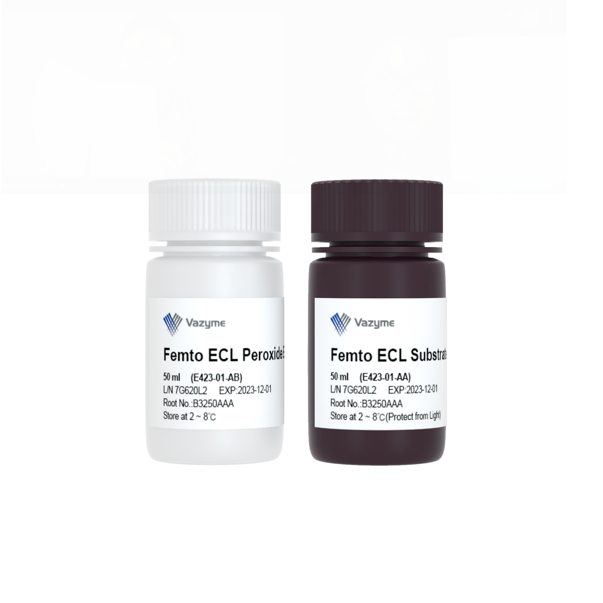 SuperFemto ECL Chemiluminescence Kit E423
