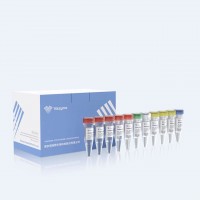 EpiArt комплект за ензимно метилиране на ДНК EM301