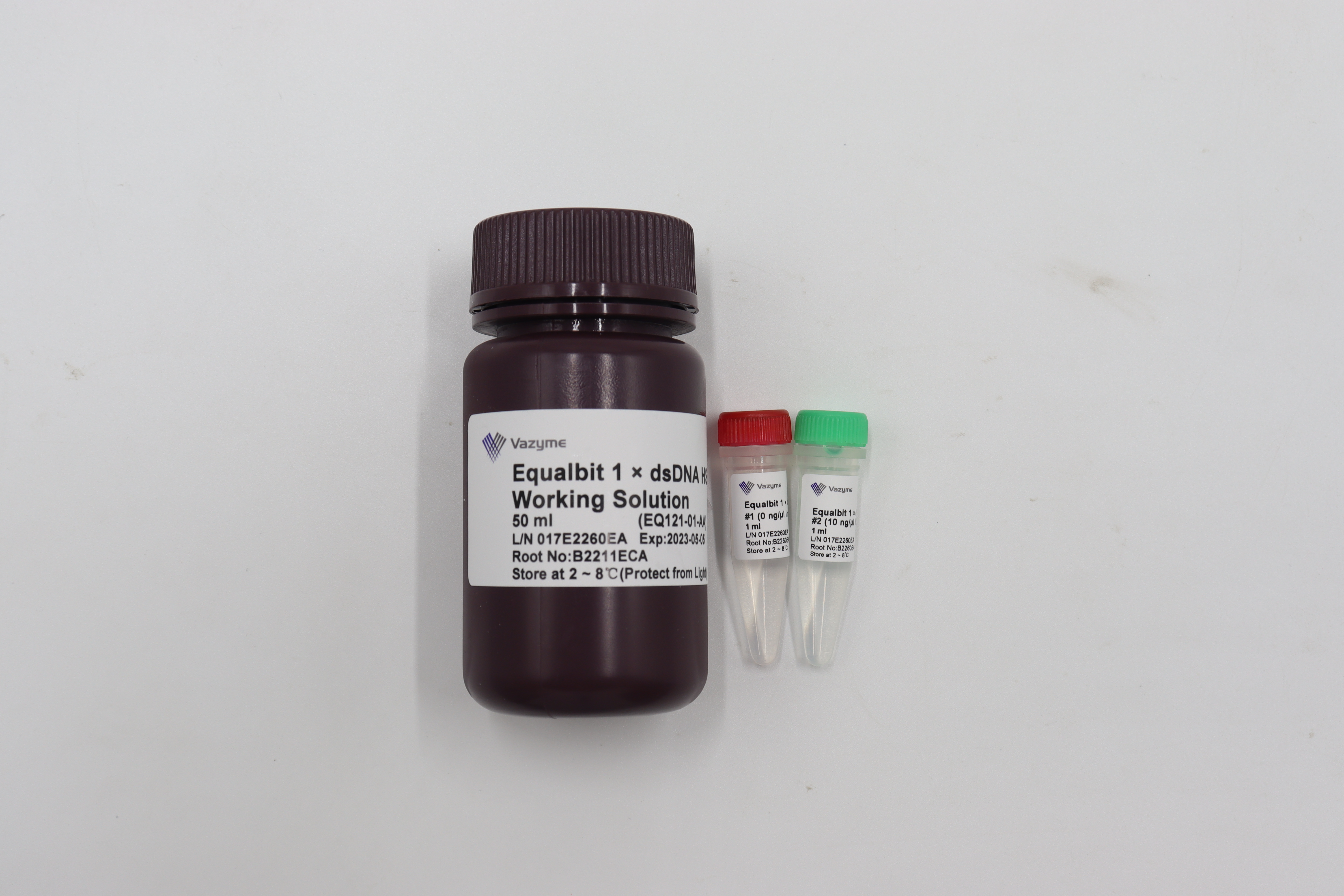 Equalbit 1x dsDNA HS Assay Kit EQ121