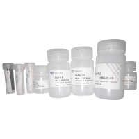 VAHTS Serum/Plasma Circulating DNA Kit N902