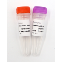 VAHTS Target Capture Universal Blockers et Post-PCR Primer Mix pour Illumina-TS NC101