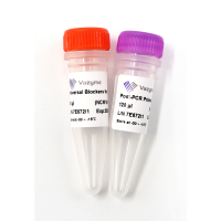 MGI-SI NCM101 的 VAHTS 目标捕获通用阻断剂和 PCR 后引物混合物