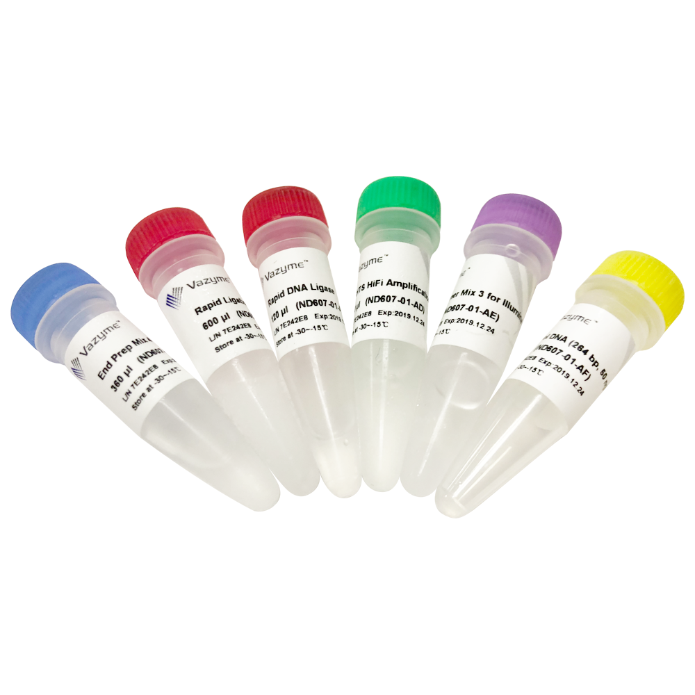 VAHTS Universal DNA Library Prep Kit for Illumina® V3 (PCR-Free) ND607-03/04