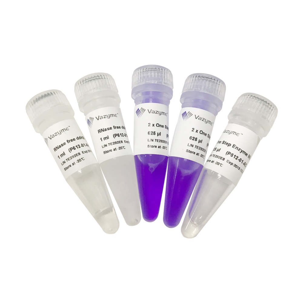 HiScript II One Step RT-PCR Kit (Dye Plus) P612