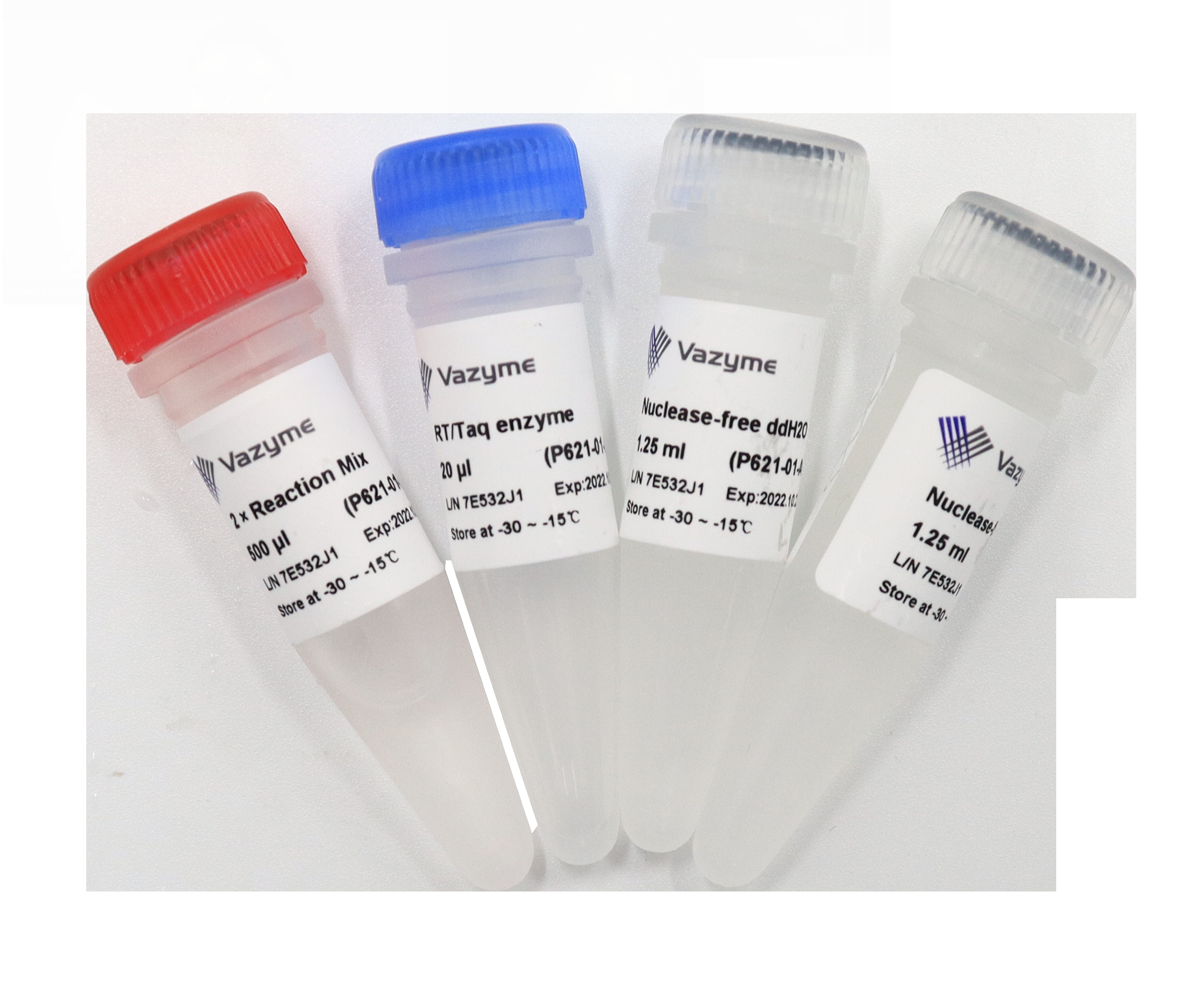 Single Cell Sequence Specific Amplification Kit P621