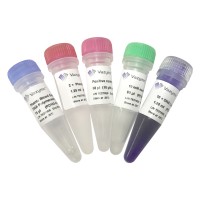 血液直接 PCR 试剂盒 V2 PD103