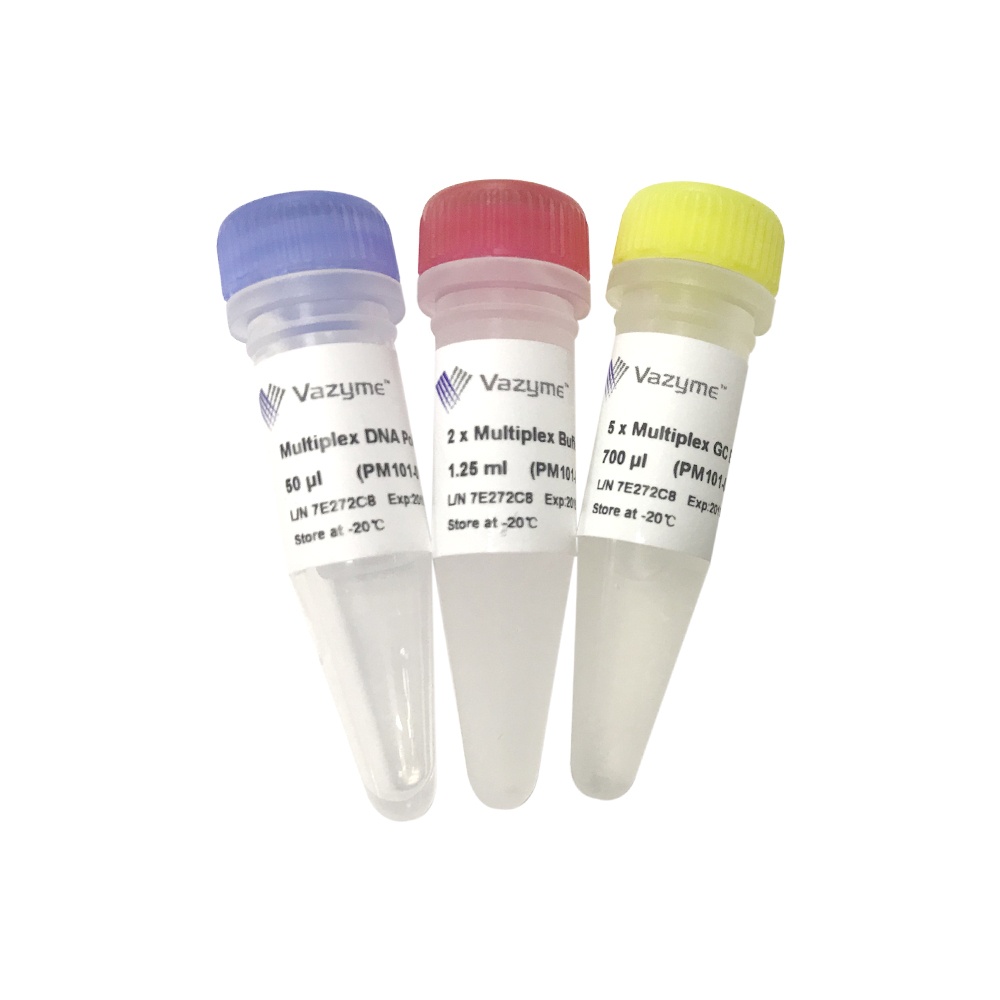 Multiplex PCR Kit PM101