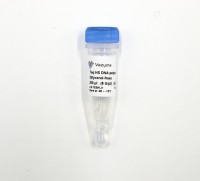 Taq HS ДНК полимераза (без глицерол) QL101