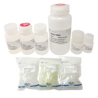 FastPure Cell / Tissue Total RNA Isolation Mini Kit RC101