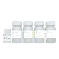 FastPure Universal Plant Total RNA Isolation Kit RC411