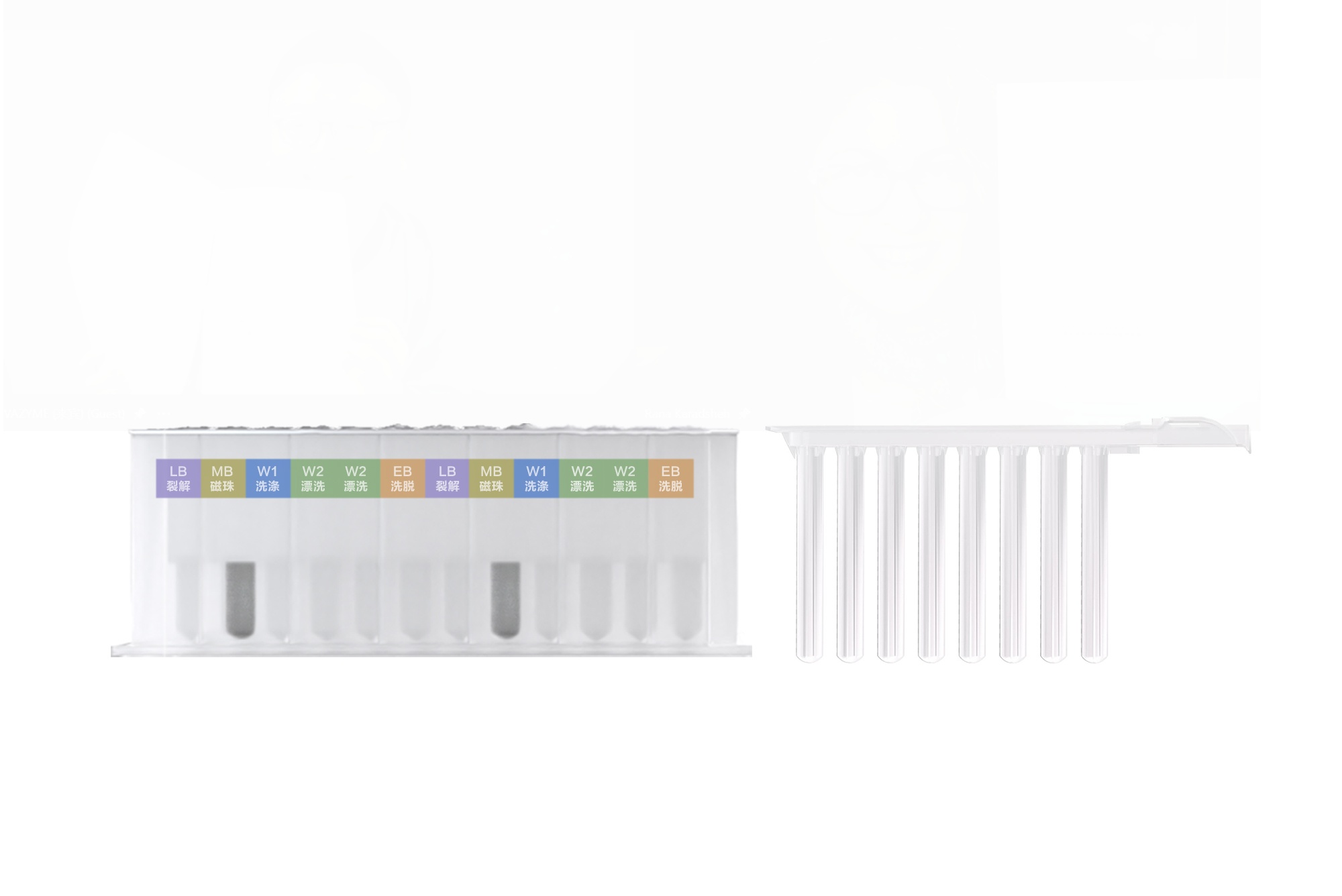 VAMNE Virus DNA/RNA Extraction Kit 3.0 (32 Prepackaged) RM501