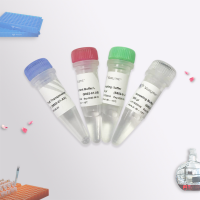 Hyperactive pG-Tn5 Transposase for CUT&Tag S602
