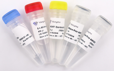 HiScript® III All-in-one RT SuperMix Perfect for qPCR R333