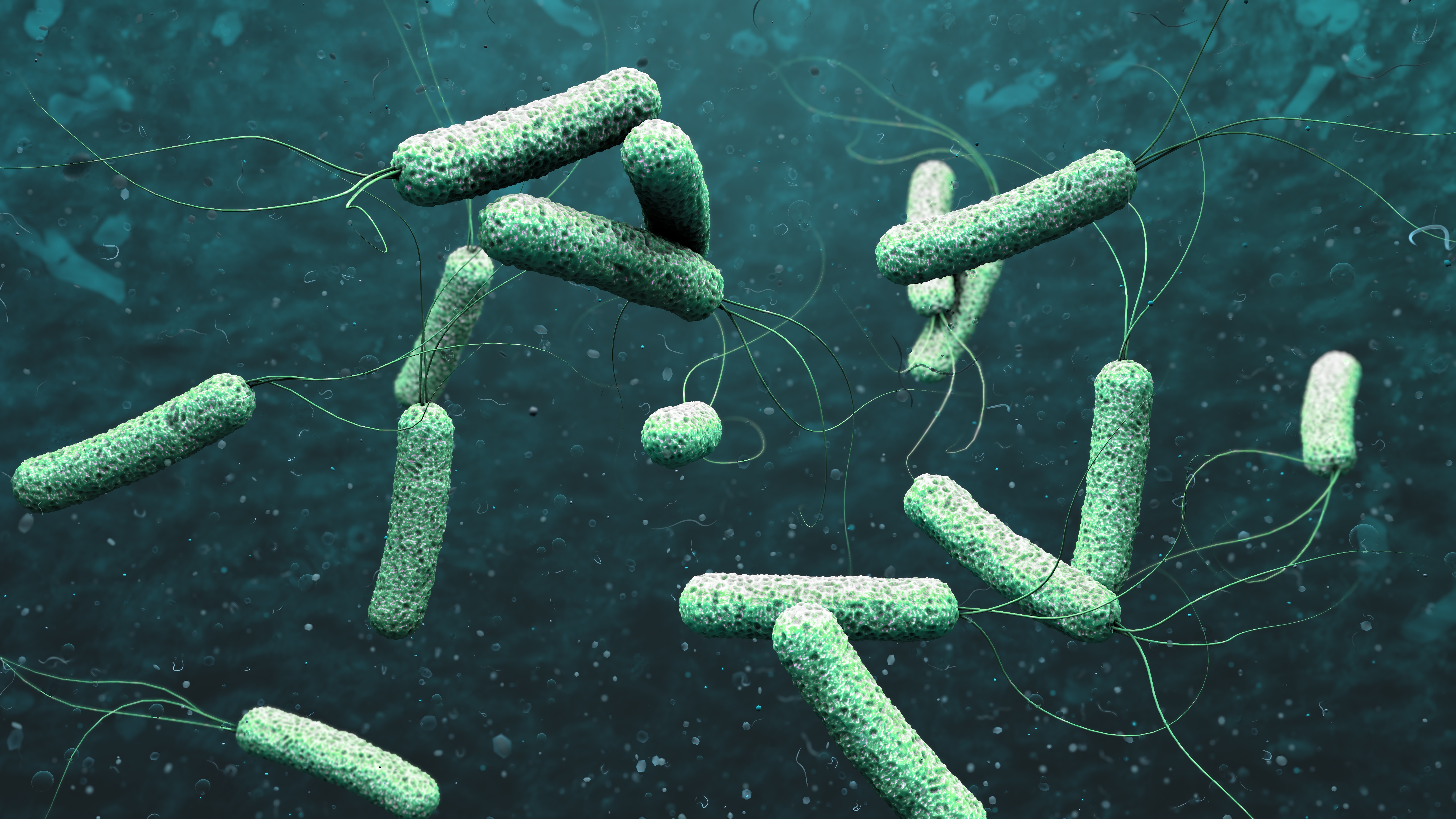 Граници на науката |Колко знаете за холерата и как да я откриете?