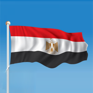 Egipto vandenilio įstatymo projekte siūloma 55 procentų mokesčių lengvata ekologiško vandenilio projektams