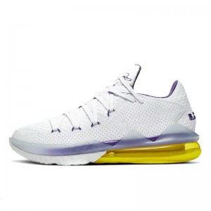 فروش کفش هوم پیست Lebron 17 Low Lakers