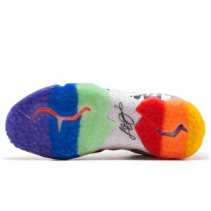 LeBron 11 Premium 'What The LeBron' کفش بسکتبال با رنگ های مختلف