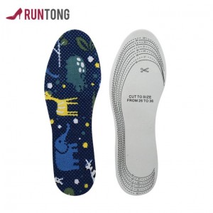 Flat Print Changeable Air Cushion Insole