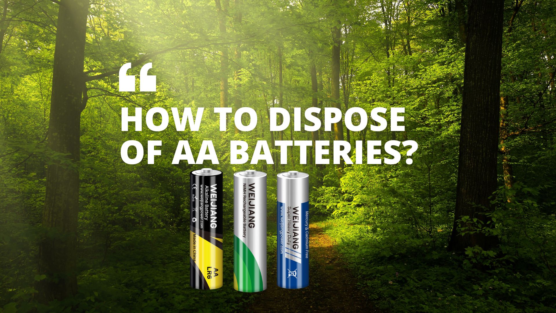 How to Dispose of AA Batteries?-Guide for Responsible Management of Waste Batteries | WEIJIANG