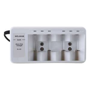 6-slot AA, AAA, 9V, C, D All-in-One Charger