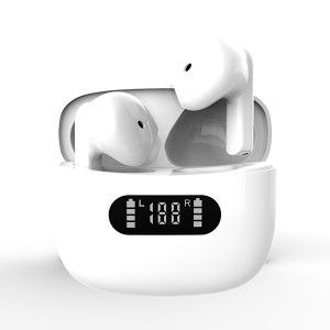 TWS Bluetooth 5.0 Earbuds Custom Earbuds ຜູ້ຜະລິດ |Wellyp