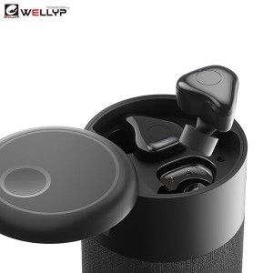 Wireless Speaker With TWS Function Wholesale Earbuds   | Wellyp