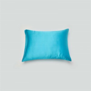 Wholesale Hidden Zipper Custom Printed Lake Blue Sleeping Mulberry Silk Pillowcase Sleeping